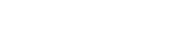 De Jongens van het Feest De Jongens van het Feest